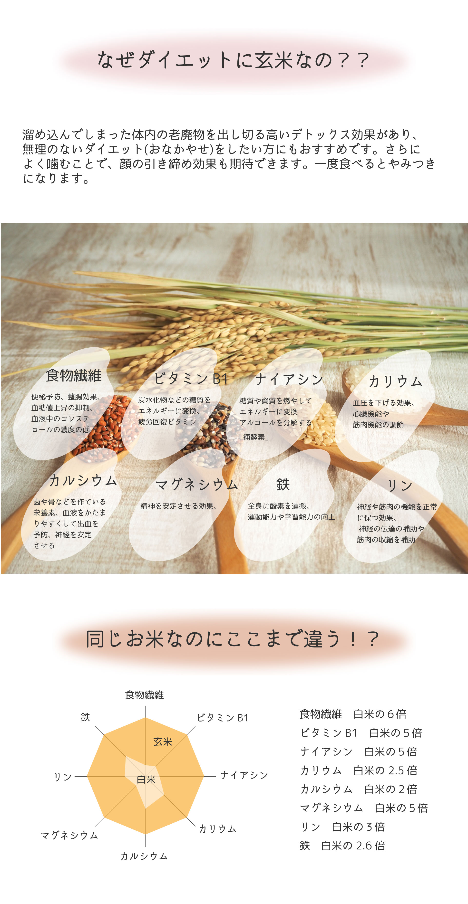 まずは痩せ脳へ、料金表